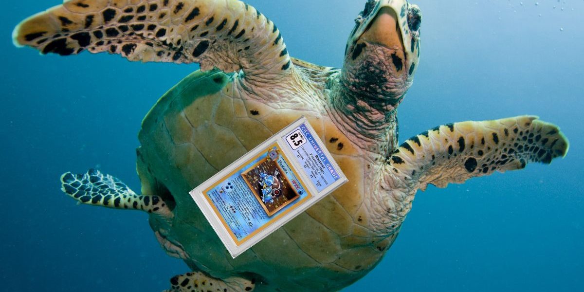 Quel secret peut bien cacher cette carte Pokémon Tortank de démonstration médiatique de 1998 ?