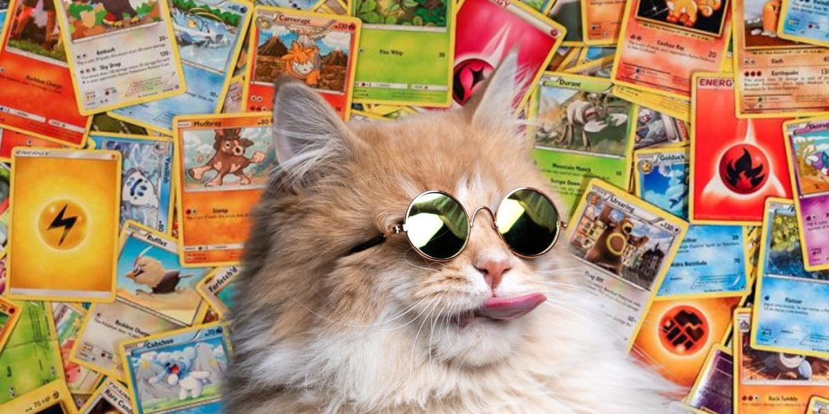 Êtes-vous un vrai collectionneur de cartes Pokémon ? Découvrez-le maintenant !