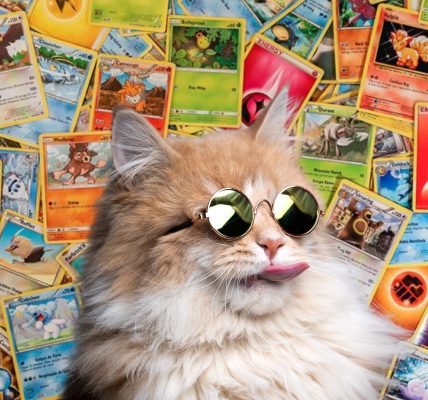 Êtes-vous un vrai collectionneur de cartes Pokémon ? Découvrez-le maintenant !